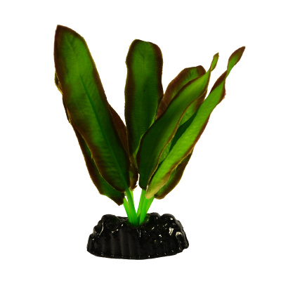 BARBUS Шелковое растение Эхинодорус 10 см